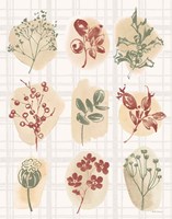 Warm Festive Season VII Fine Art Print