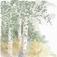Natures Leaves II Sage Framed Print