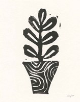 Planted VII Fine Art Print