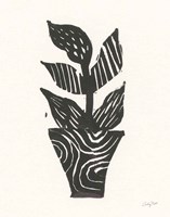 Planted VI Fine Art Print