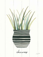 Herb Garden VI Fine Art Print