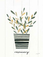 Herb Garden V Fine Art Print