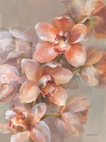Delicate Orchid I Fine Art Print