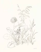 Nature Sketchbook VII Framed Print