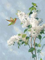 Hummingbird Spring I Soft Blue Fine Art Print