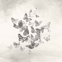 Beautiful Butterflies BW Framed Print