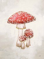 Woodland Mushroom II Fine Art Print