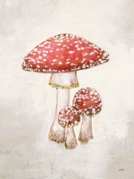 Woodland Mushroom II Framed Print