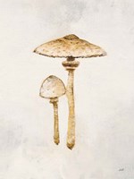 Woodland Mushroom I Framed Print