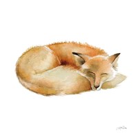 Sleeping Fox on White Fine Art Print