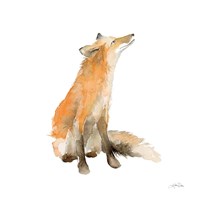 Dreaming Fox on White Fine Art Print