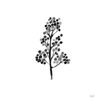 Botticelli Plant IV Black Fine Art Print