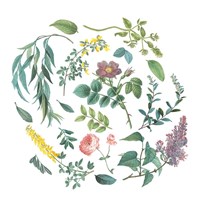 Victorian Garden Bright I Framed Print