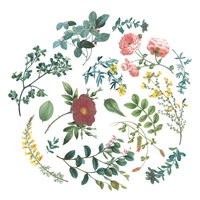 Victorian Garden Bright II Framed Print