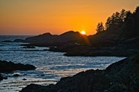 Last Peek Fine Art Print