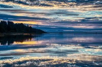 Lavender Morning Fine Art Print