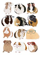 Guinea Pigs In Glasses Fine Art Print