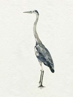 Saltwater Herons II Fine Art Print