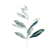 Summer Olive Branch I Framed Print