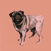 A Very Pop Modern Dog VII Fine Art Print