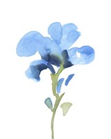 Striking Blue Iris I Framed Print