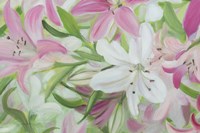 Pink and White Lilies IV Fine Art Print