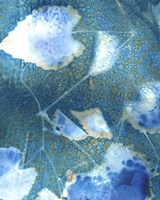 Cyanotype Leaves I Fine Art Print