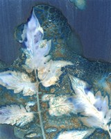 Cyanotype Leaves II Fine Art Print