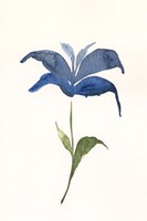 Floweret I Fine Art Print