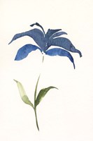 Floweret II Fine Art Print