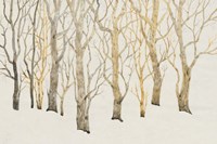 Bare Trees I Fine Art Print