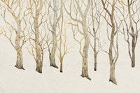 Bare Trees II Fine Art Print