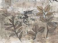 Leaf Motif II Fine Art Print