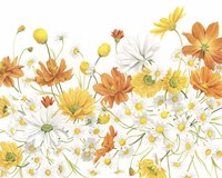 Sunny Wild Bouquet III Fine Art Print