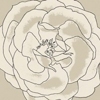 Beige Blooms II Fine Art Print