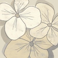 Beige Blooms III Fine Art Print