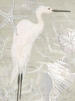Driftwood Heron I Framed Print