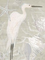 Driftwood Heron I Fine Art Print