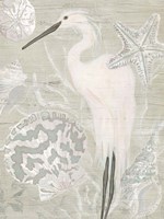 Driftwood Heron II Framed Print