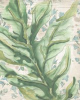 Palms & Patterns III Framed Print