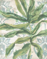 Palms & Patterns IV Framed Print