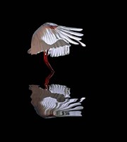 The Ave Fine Art Print