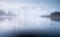 Reflections in a Lake 2 Fine Art Print