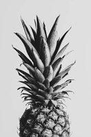 Pineapple Black a White 2 Fine Art Print