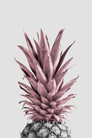 Pineapple Pink 4 Fine Art Print