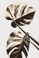 Monstera Gold 8 Fine Art Print