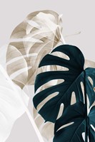 Monstera Creative 5 Fine Art Print