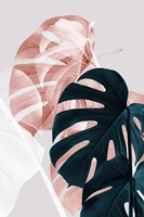 Monstera Creative 9 Fine Art Print