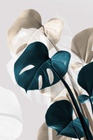 Monstera Creative 10 Fine Art Print