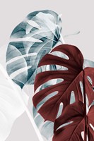 Monstera Creative 18 Fine Art Print